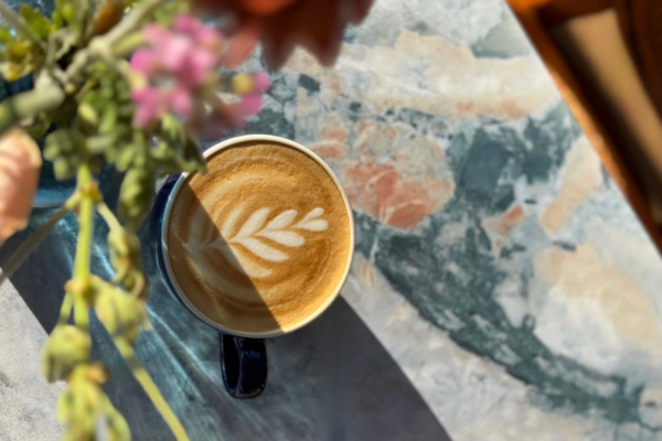 B40AB0A1-6A7B-407F-A347-553C5CCC8CE6